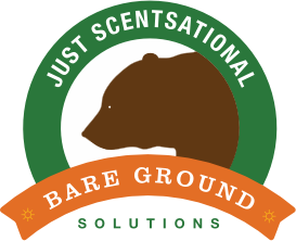 Case Study: Bare Ground